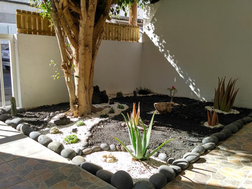 Greentree House Corralejo Extérieur photo